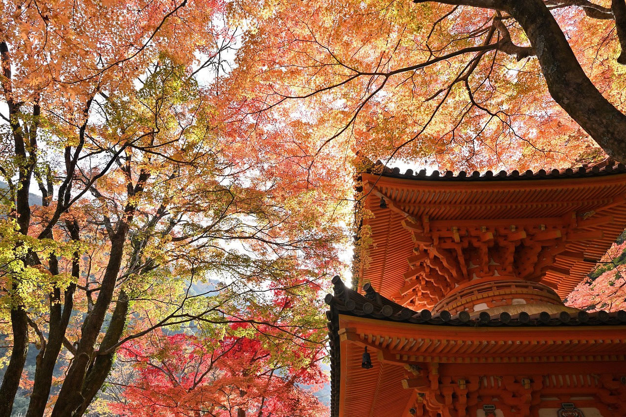 Japanischer Tempel mit buntem Herbstlaub