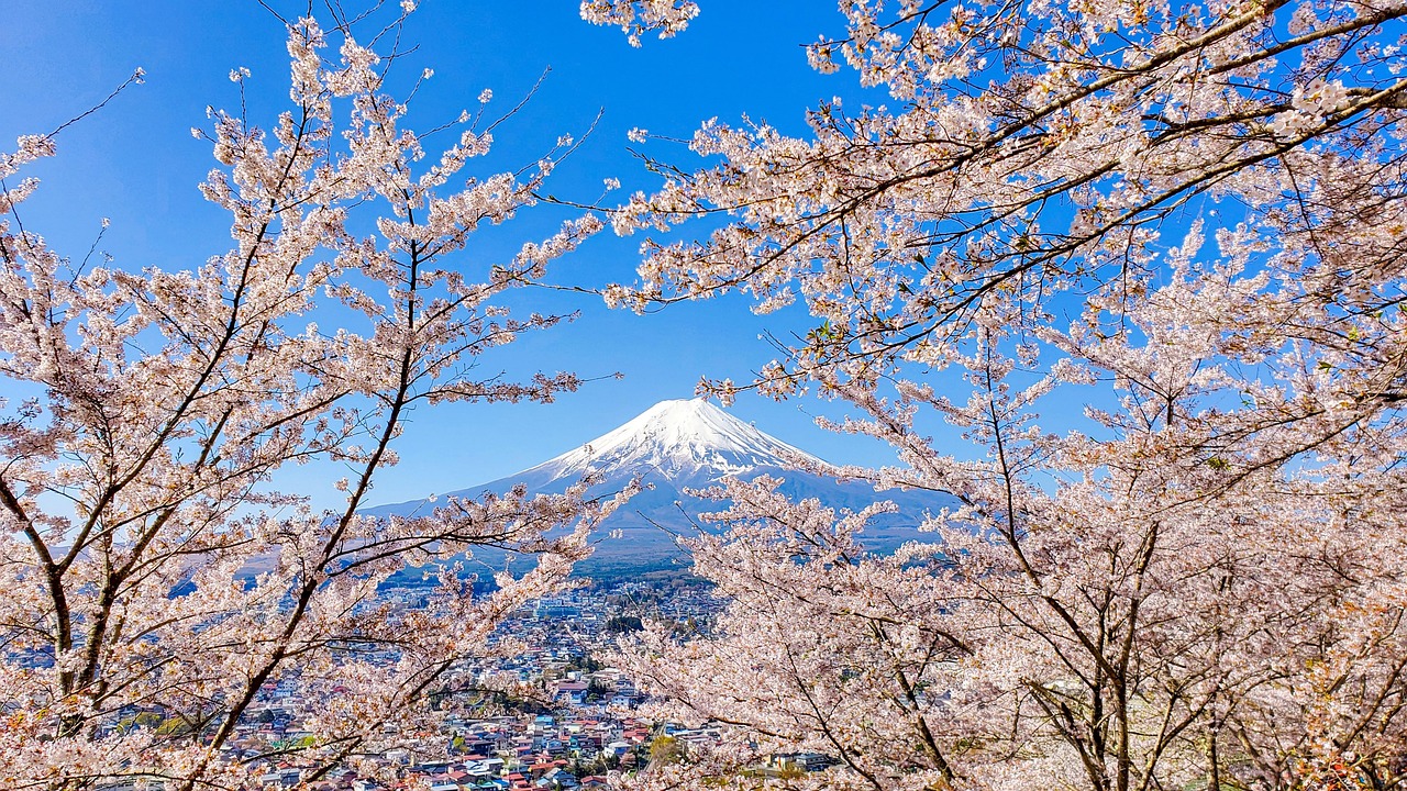 Frühlingsstimmung in Japan mit Kirschblüten und Mount Fuji