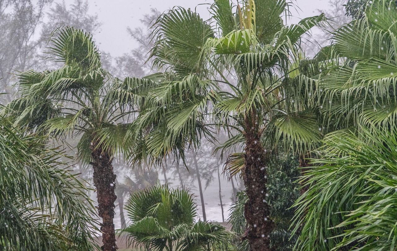 Regenwolken und Meer auf Phuket